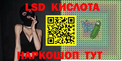 СК Краснодар