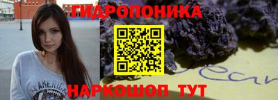 СК Краснодар