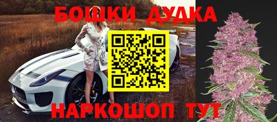 СК Краснодар